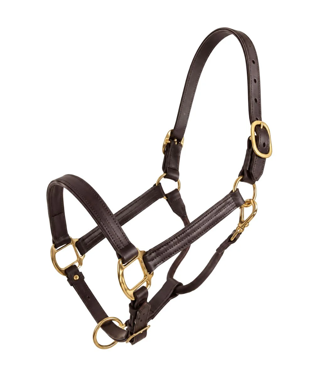Hilltop Tack Supply, Leather Horse Tack Equipment